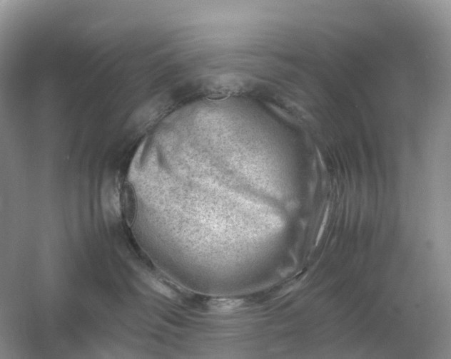 X0000061110334200512022132