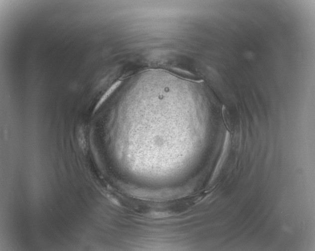 X0000061110335200512022132