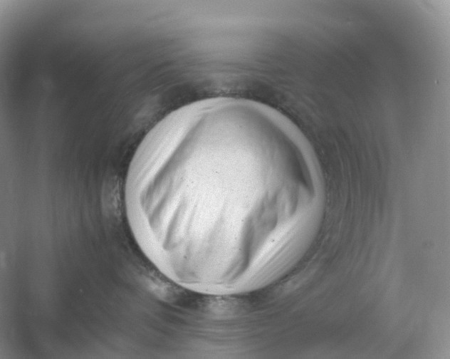 X0000061110336200512022132