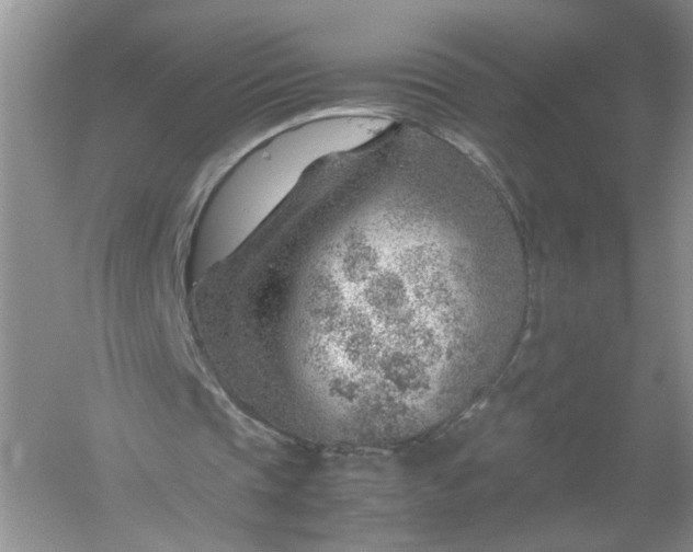 X0000061110337200512022131