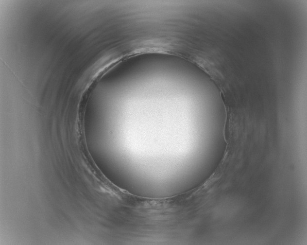 X0000061110338200512022131