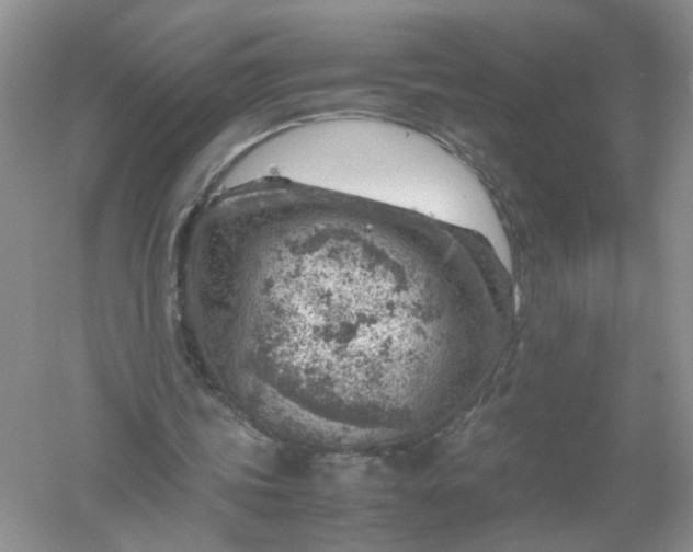 X0000061110339200512022131