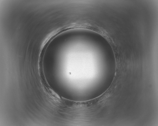 X0000061110340200512022131