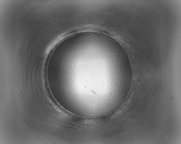 X0000061110341200512022131