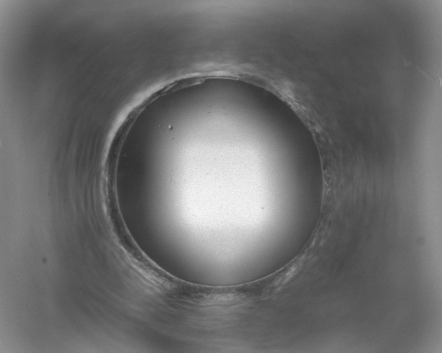 X0000061110342200512022131