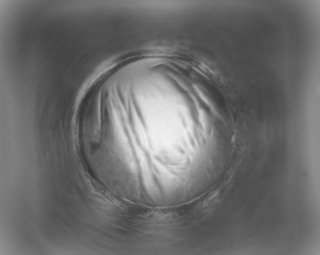 X0000061110343200512022131