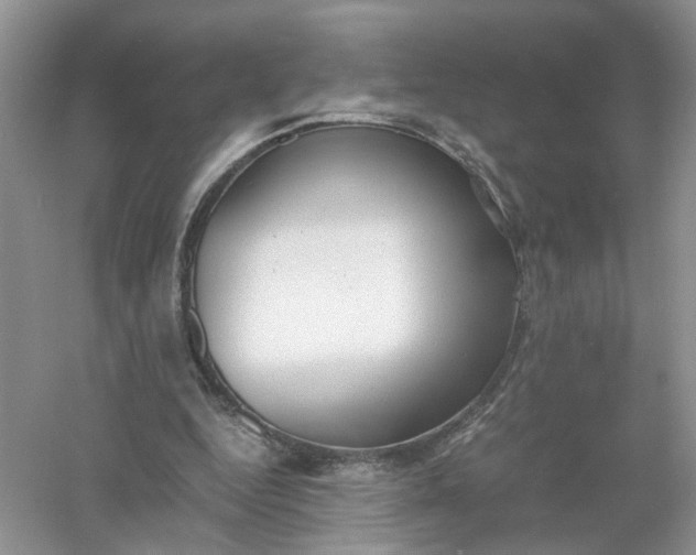 X0000061110344200512022131