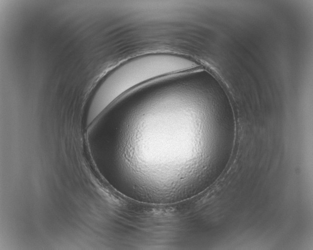 X0000061110345200512022131