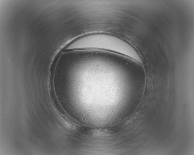 X0000061110346200512022131