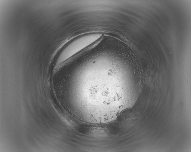 X0000061110347200512022131