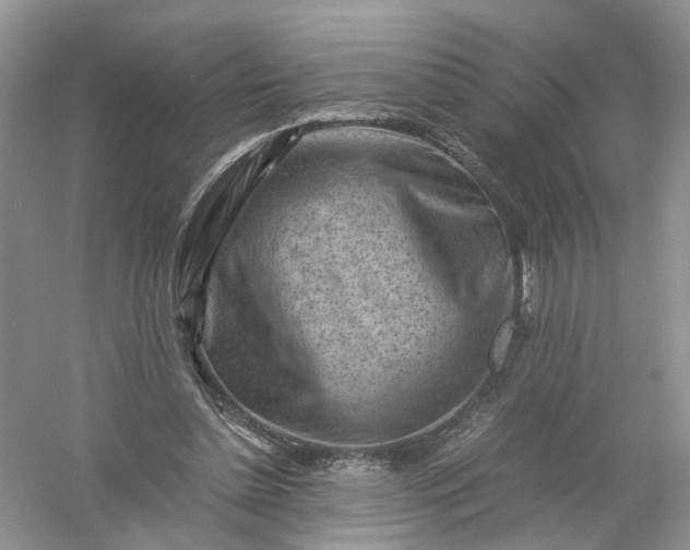 X0000061110348200512022131