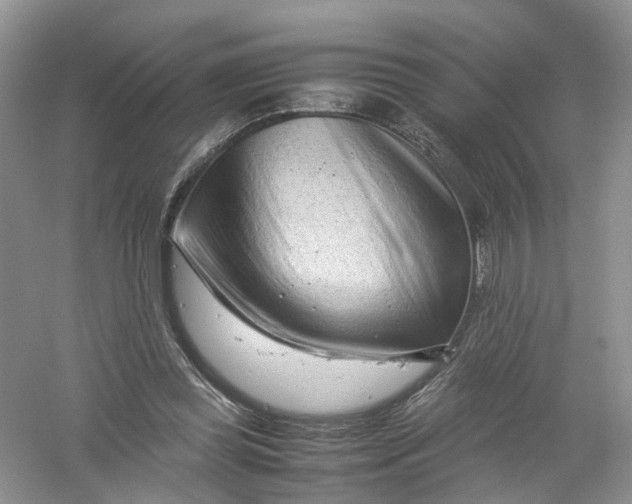 X0000061110349200512022131