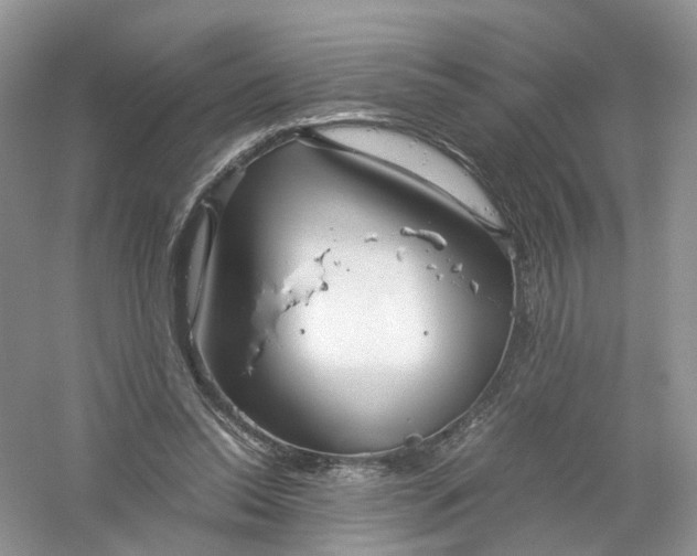 X0000061110350200512022131