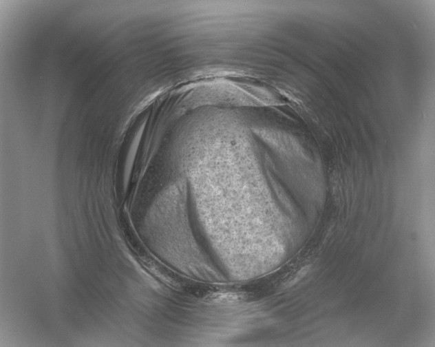 X0000061110352200512022131