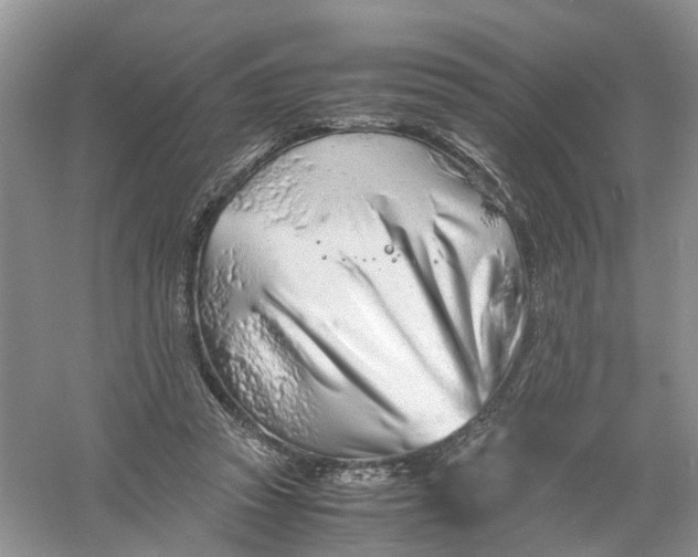 X0000061110353200512022131