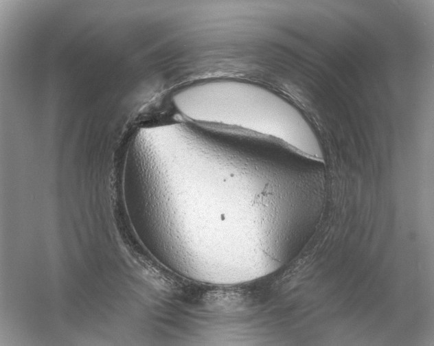 X0000061110354200512022131