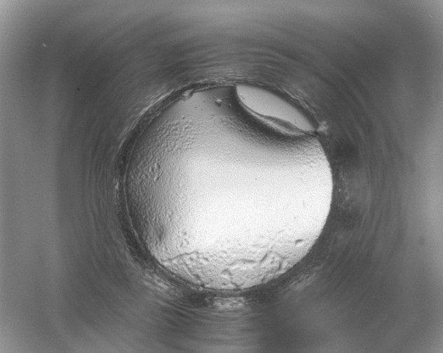 X0000061110355200512022132