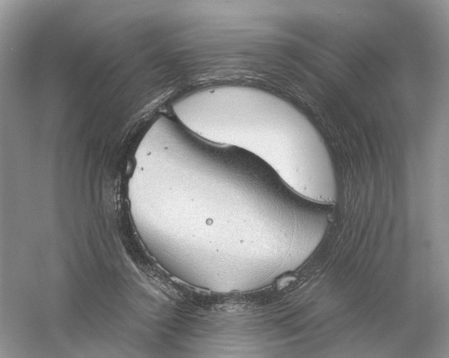 X0000061110356200512022132