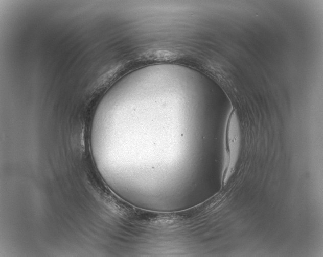 X0000061110358200512022132