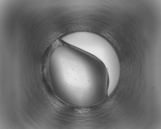 X0000061110359200512022132