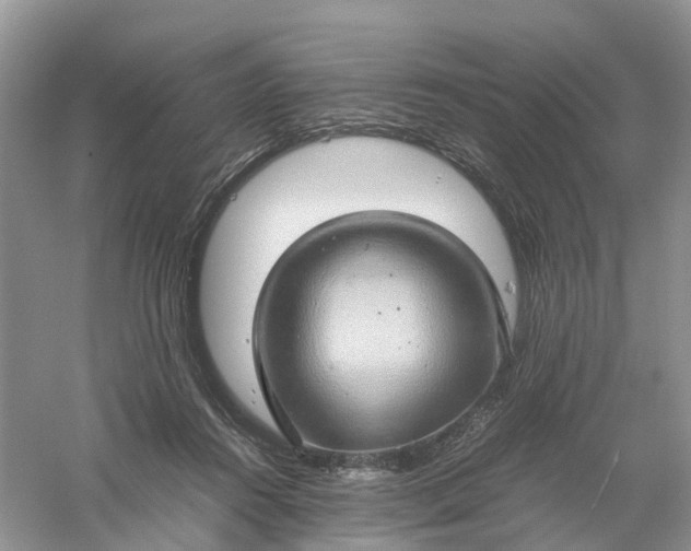 X0000061110360200512022132