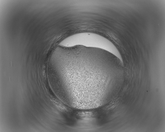 X0000061110361200512022132