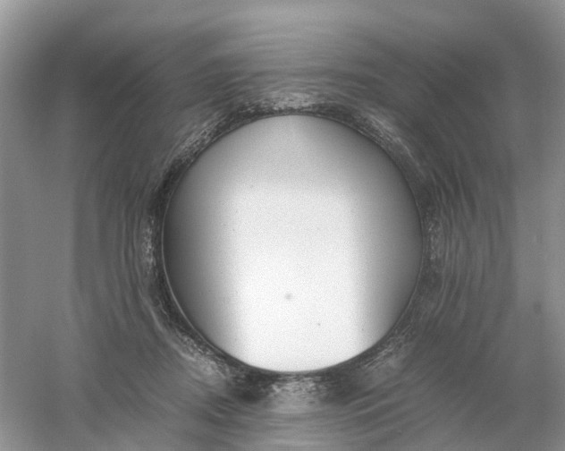 X0000061110362200512022132