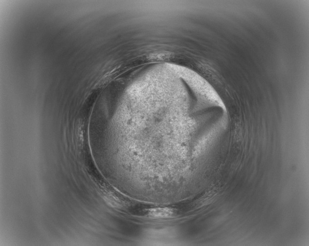 X0000061110363200512022132