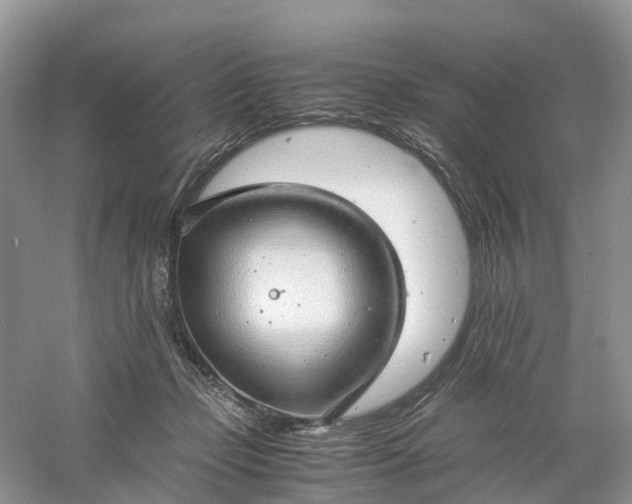 X0000061110365200512022132