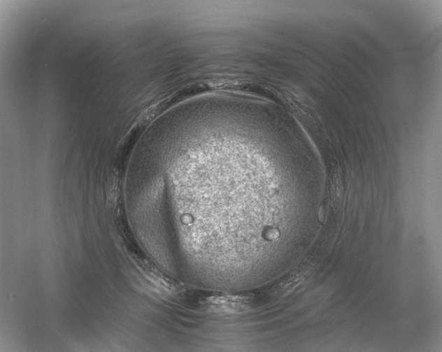 X0000061110367200512022132