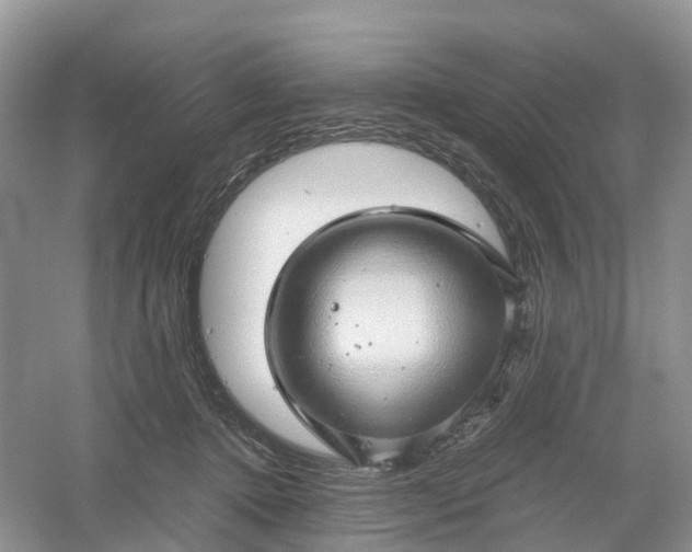 X0000061110368200512022132