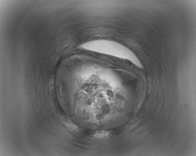 X0000061110369200512022132