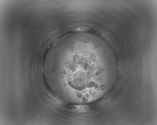 X0000061110371200512022132