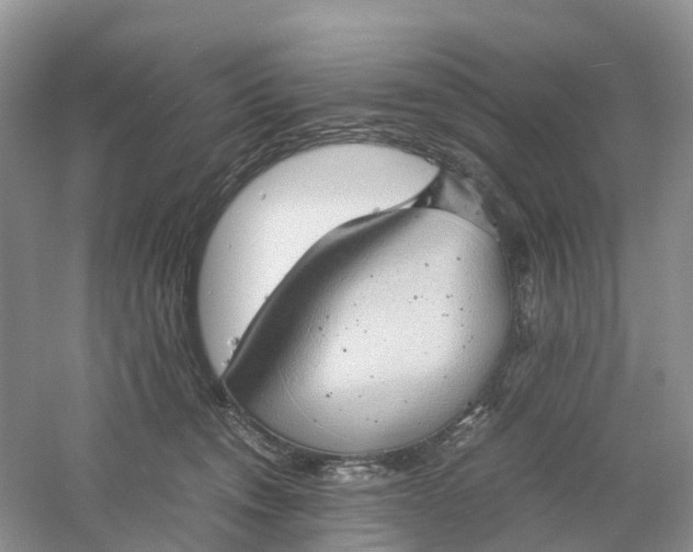 X0000061110372200512022132