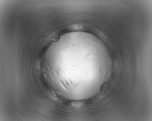 X0000061110373200512022132