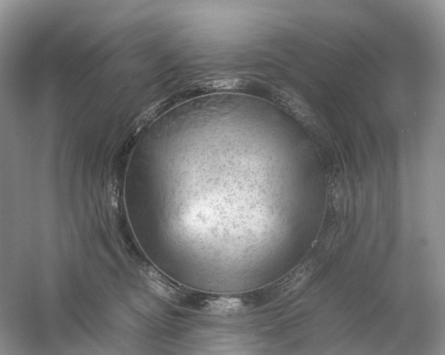 X0000061110374200512022132