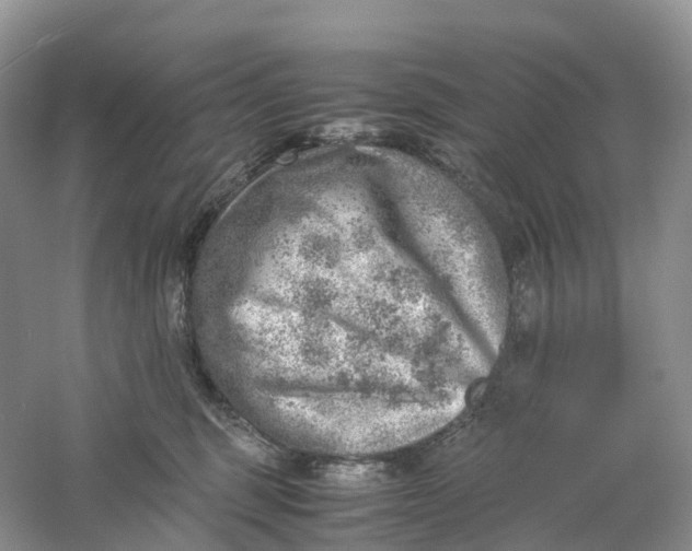 X0000061110375200512022132