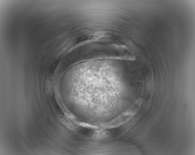 X0000061110376200512022132