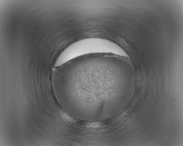 X0000061110377200512022132