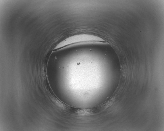 X0000061110378200512022132