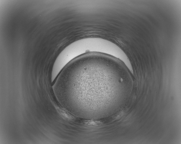 X0000061110379200512022132