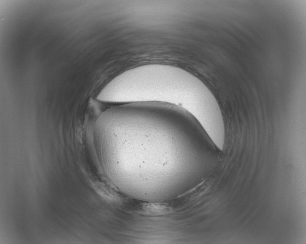 X0000061110380200512022132