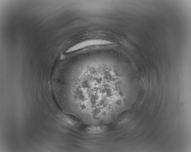 X0000061110381200512022132