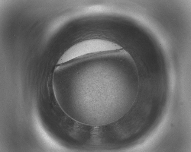 X0000061110382200512022132