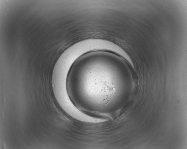 X0000061110383200512022132