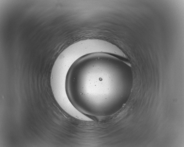 X0000061110384200512022132