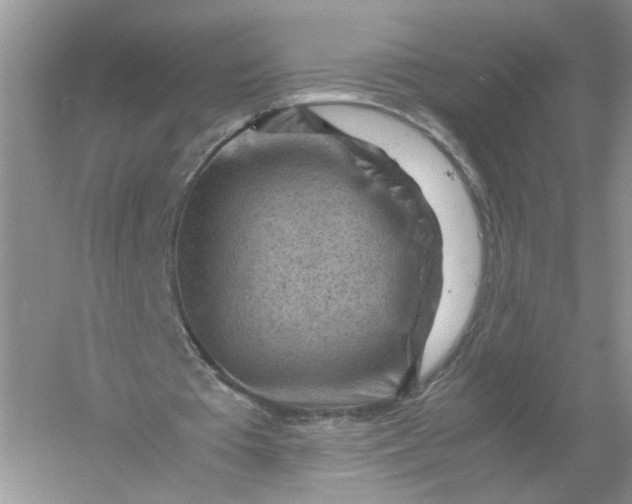 X0000061110385200512022131