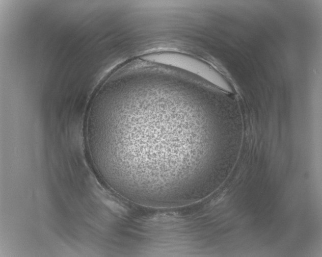 X0000061110386200512022131