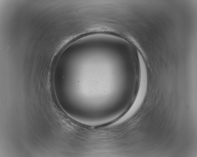 X0000061110387200512022131