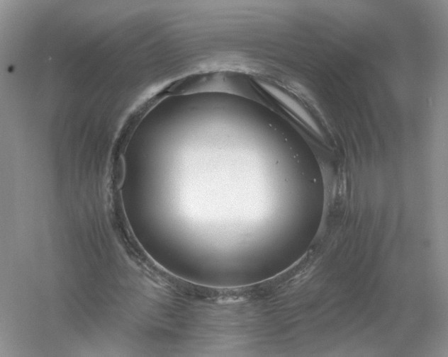 X0000061110388200512022131